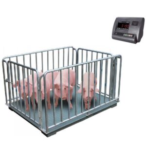Animal weighing platform scale