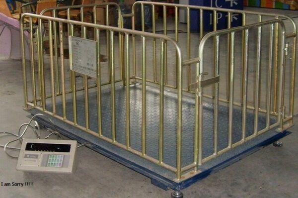 Appropriate animal weighing scales for harsh environment