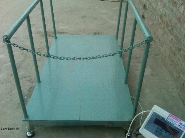 Popular digital animal weighing scale Akamwesi