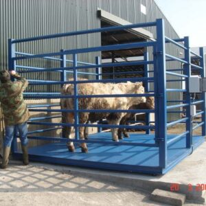 Heavy duty animal weighing scale User-friendly Uganda