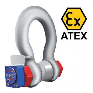 Swivel handles crane weighing