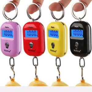 Best luggage scales with rechargeable 6v1.2Ah batteries Kasese