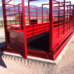 Cattle weighing scale for large animals