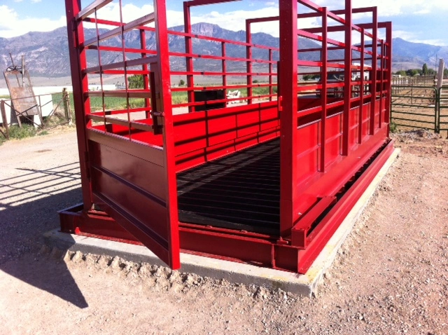 Cattle weighing scale for large animals