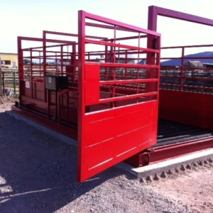 Animal weighing scales designed for livestock