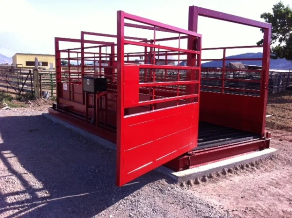 Animal weighing scales designed for livestock