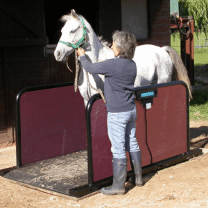 digital animal weighing scale smart design structure