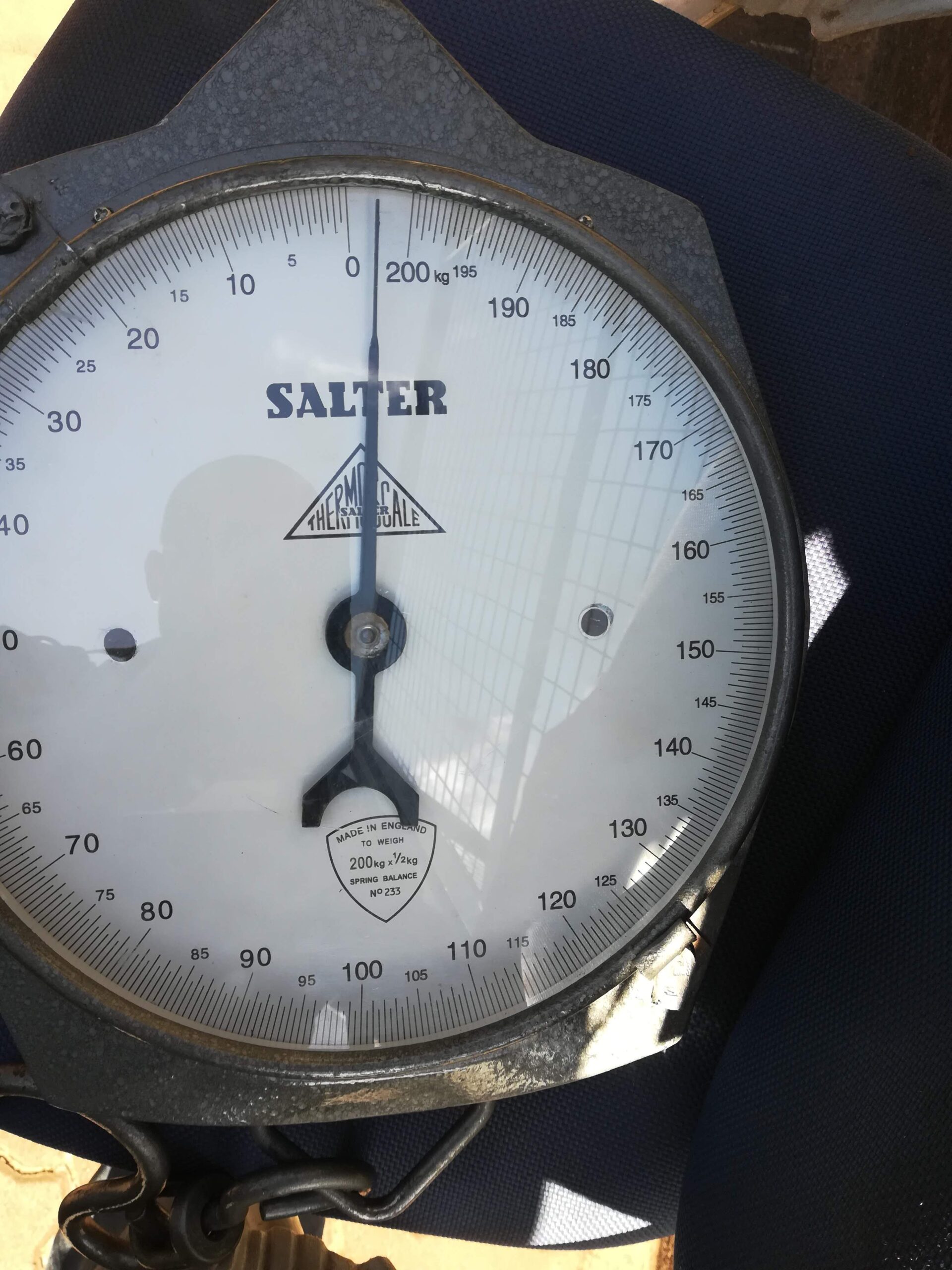 Dial crane metal scale