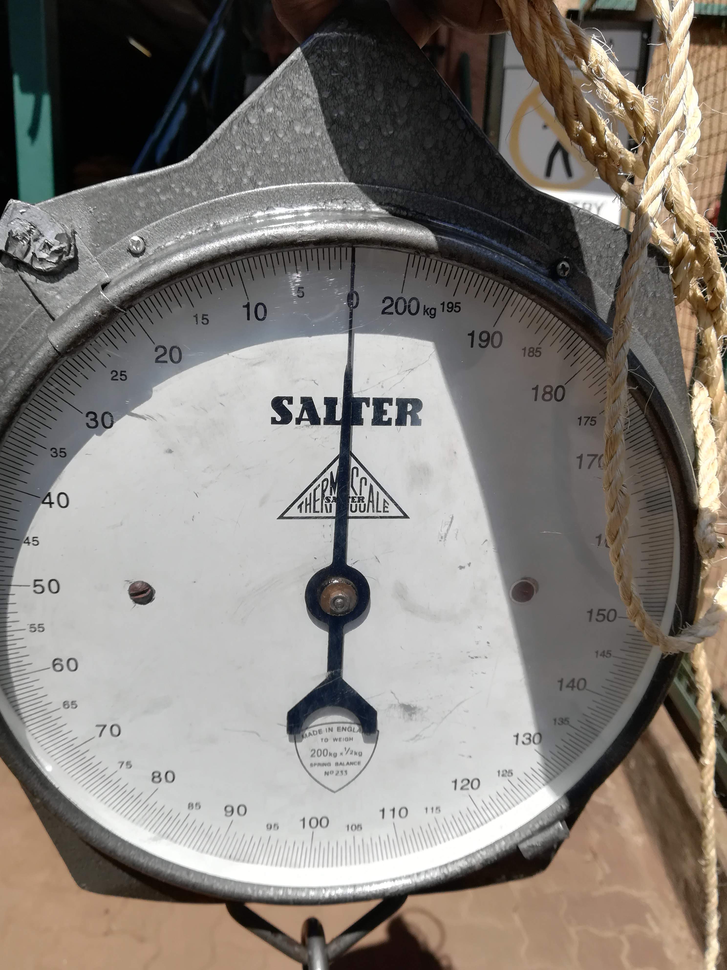 Aluminum casting dial scales