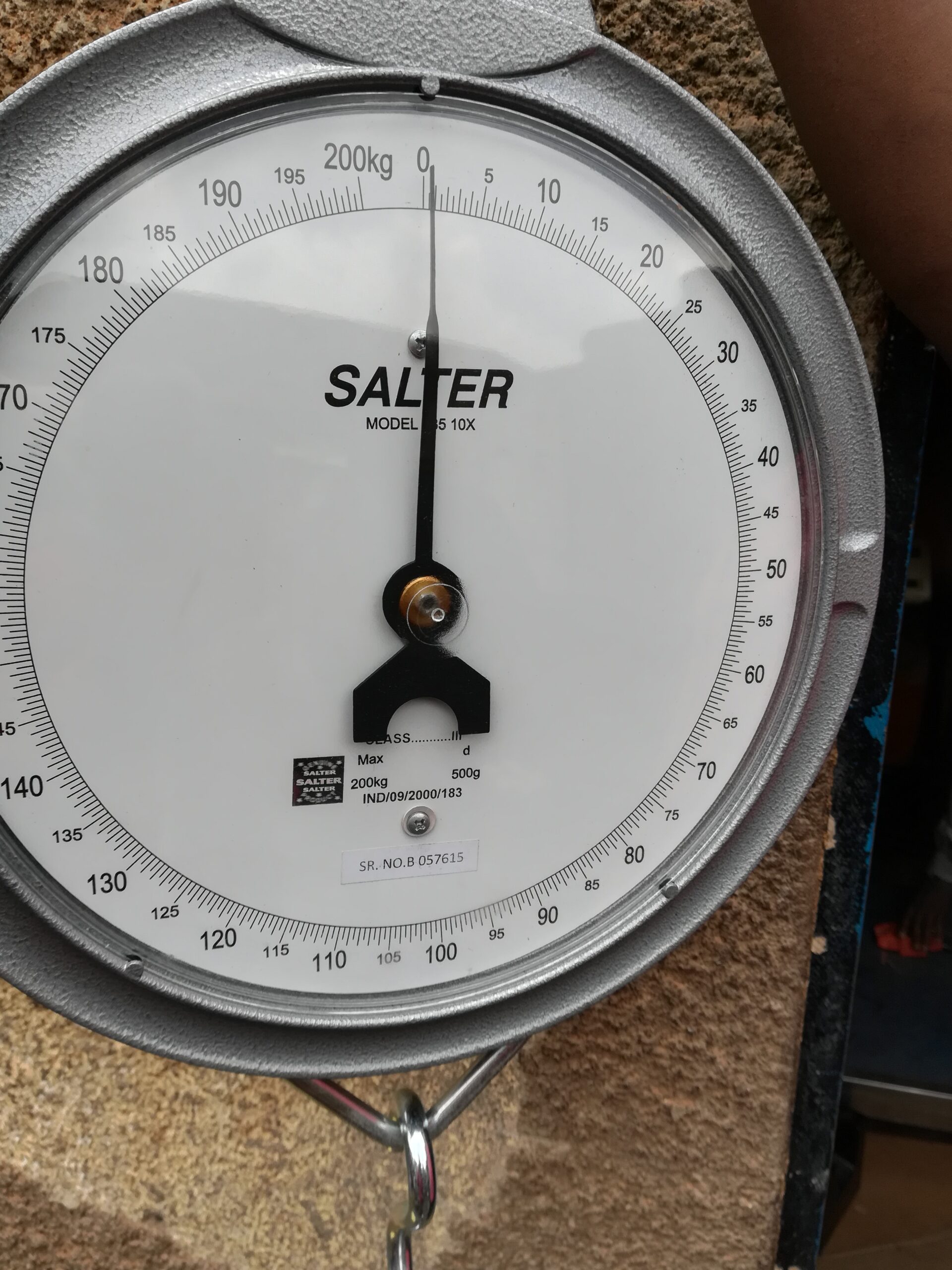 Stable weighing mechanism crane