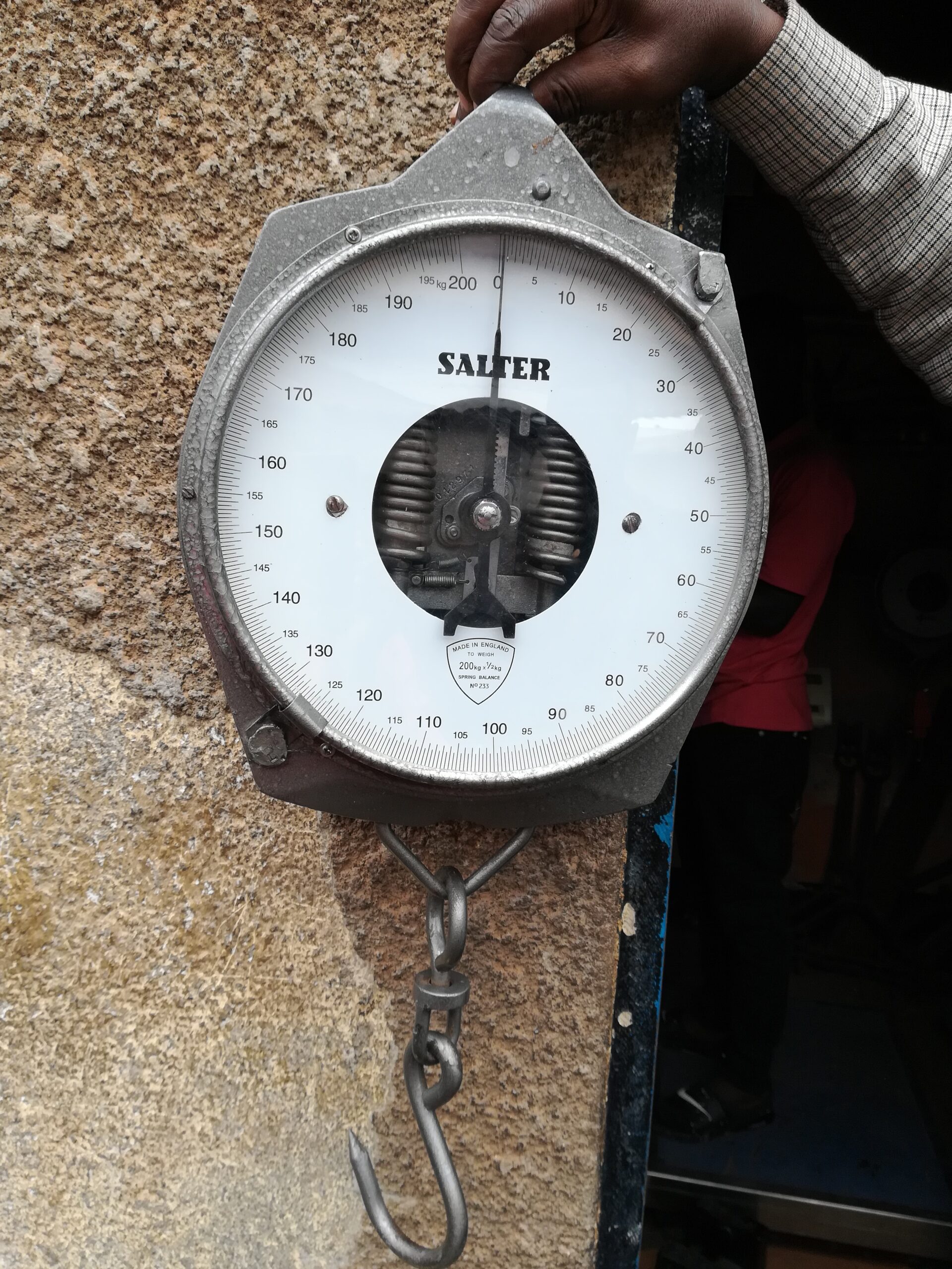 Designed dial hanging scale