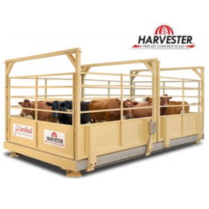 Farm animal weighing scales in stock