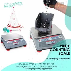 price computing scale