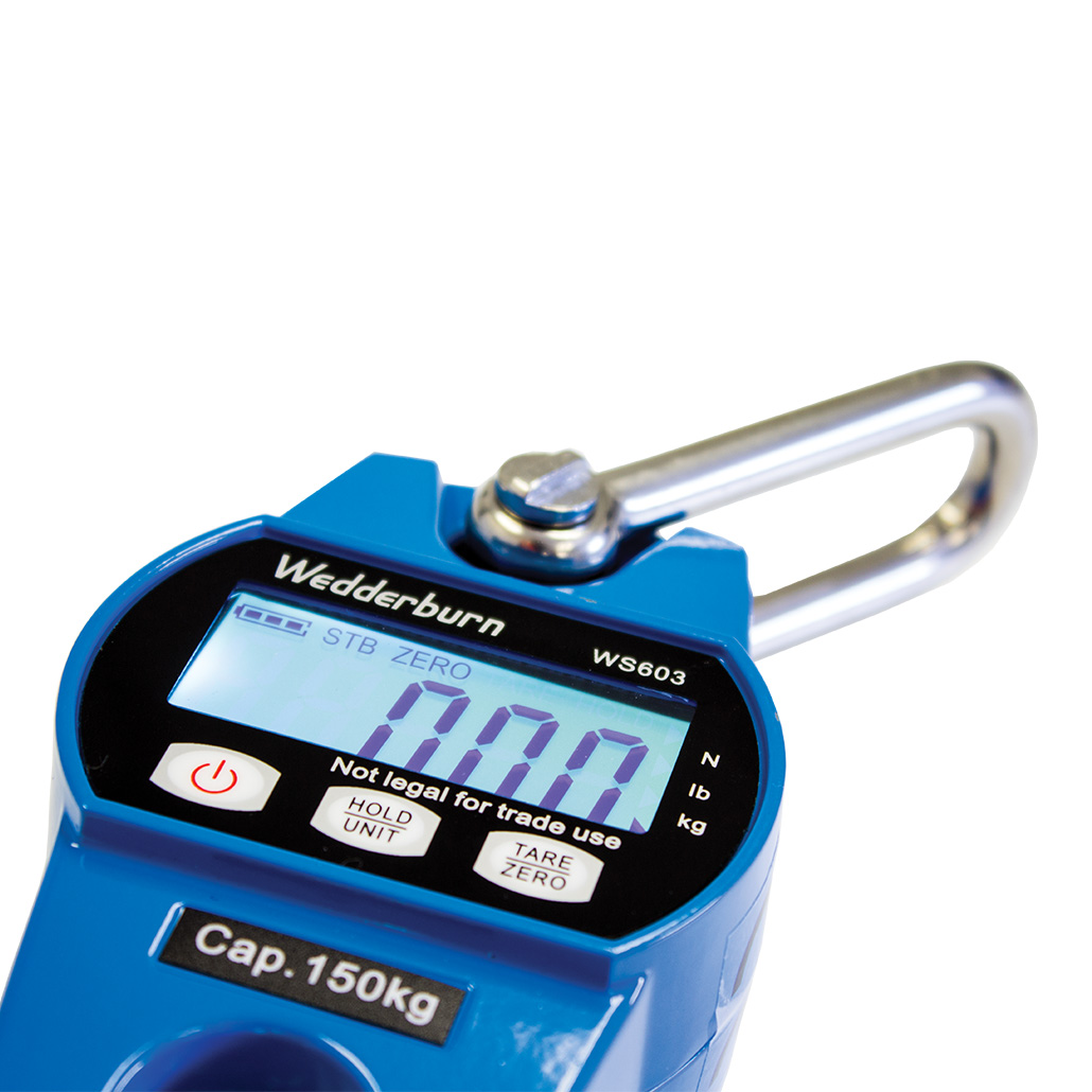 Unit crane hanging weighing