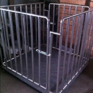 Best animal weighing scales available on market