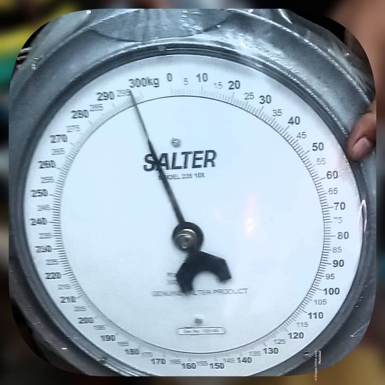 Dial Crane scales for