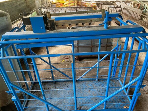 Animal weighing scales