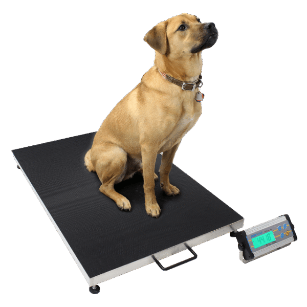 Veterinary weighing scales