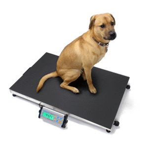 Veterinary weighing scales