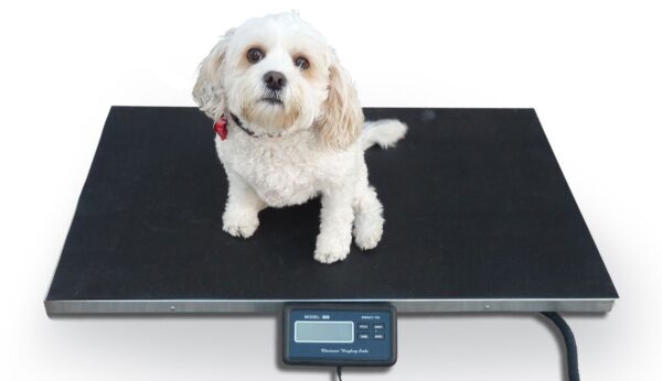 Veterinary weighing scales
