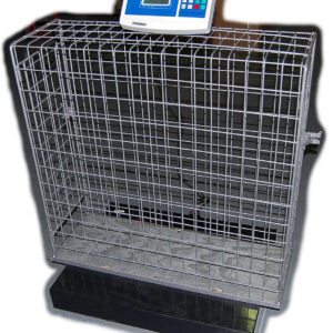 Animal weighing machine price