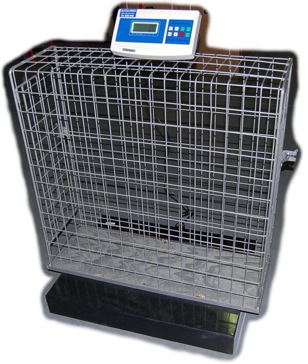 Animal weighing machine price