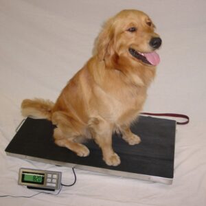 Veterinary weighing scales