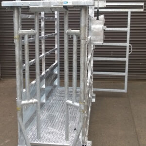 Electronic livestock scale