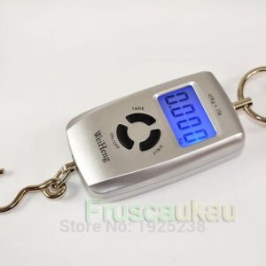 Digital compact Hanging strap hook