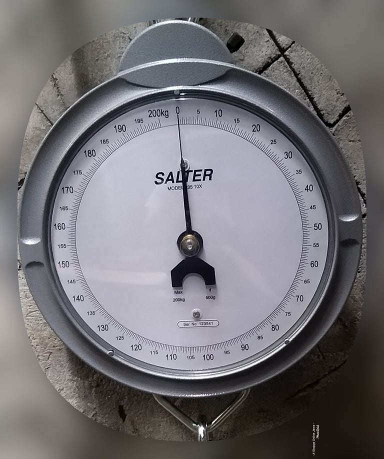 Dial heavy duty crane
