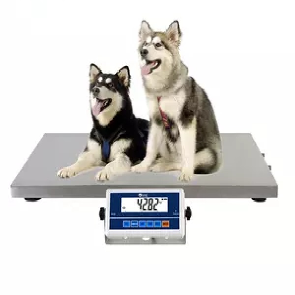 price of weighing scale