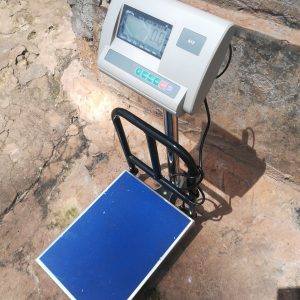 portable platform scale 100kg