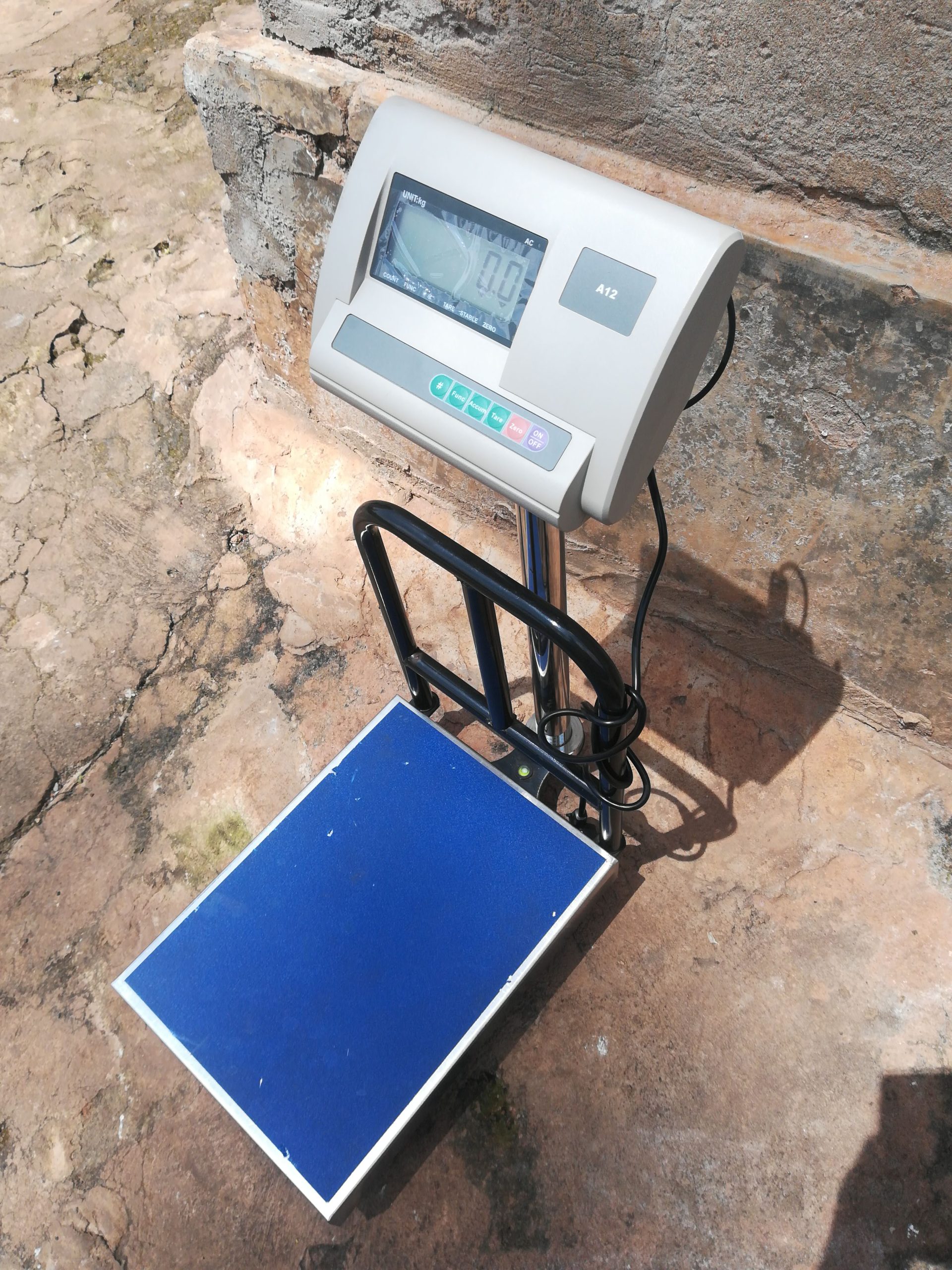 portable platform scale 100kg