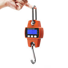 reliable Hook Hanging Scale are available in a wide range of weight capacities, from zero to three hundred pounds