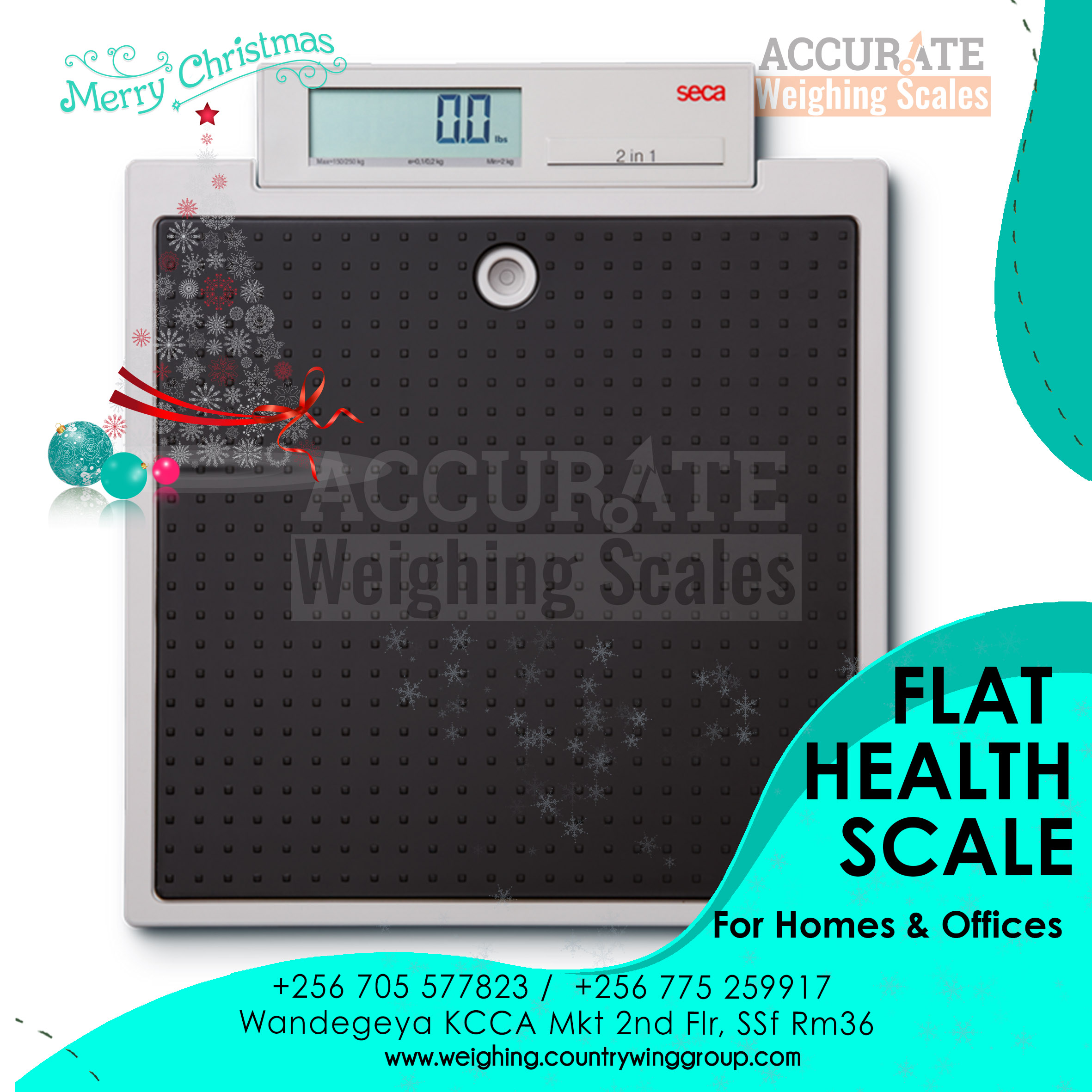 Body Weight Scale 