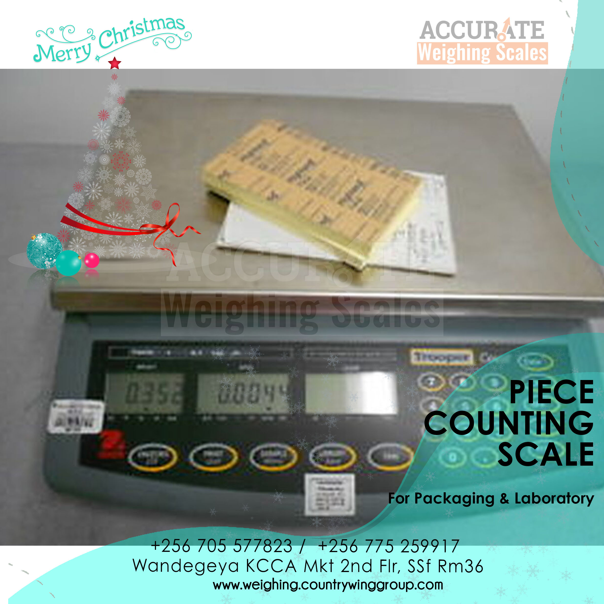 Price Computing Weighing Scale 