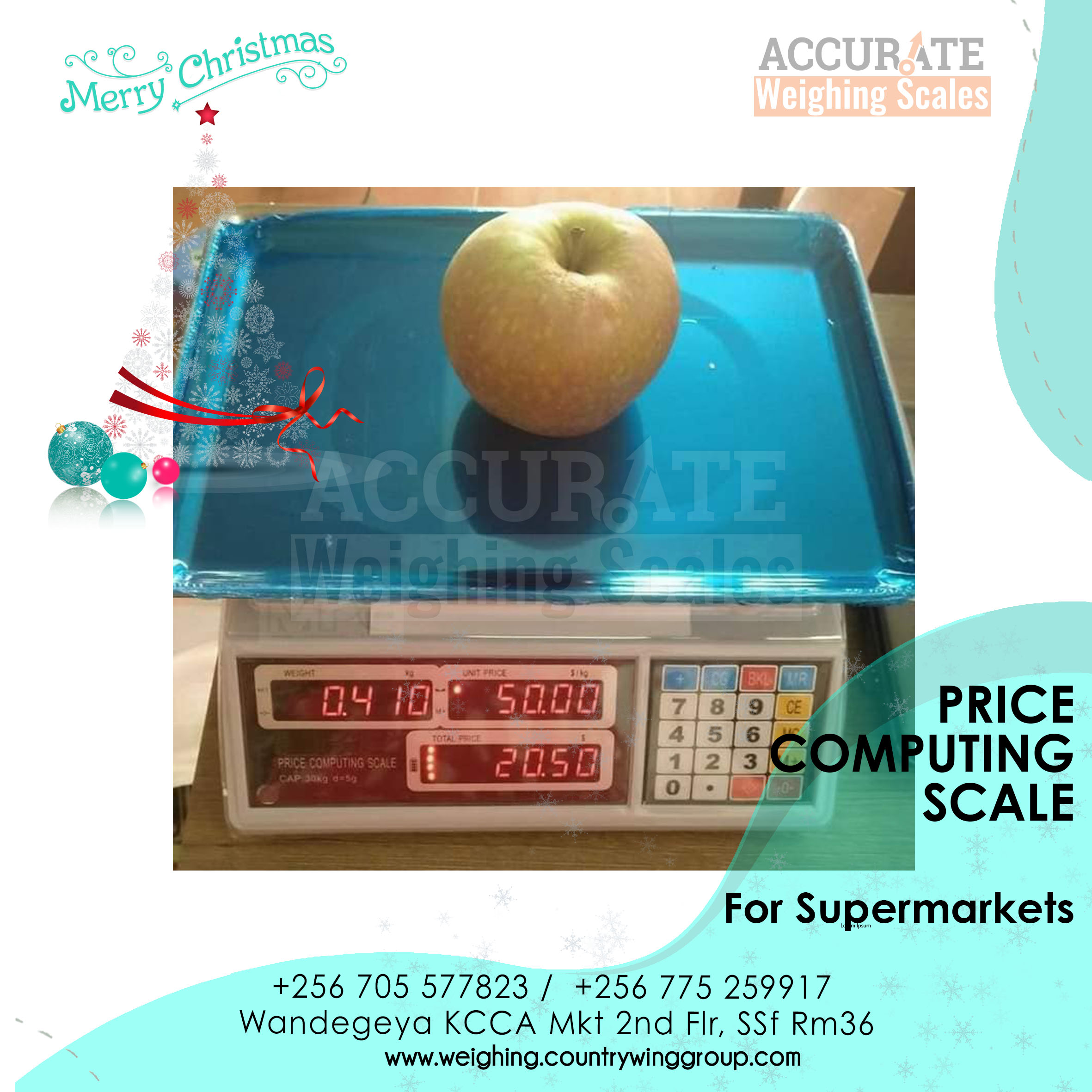 Price Computing Weighing Scale 