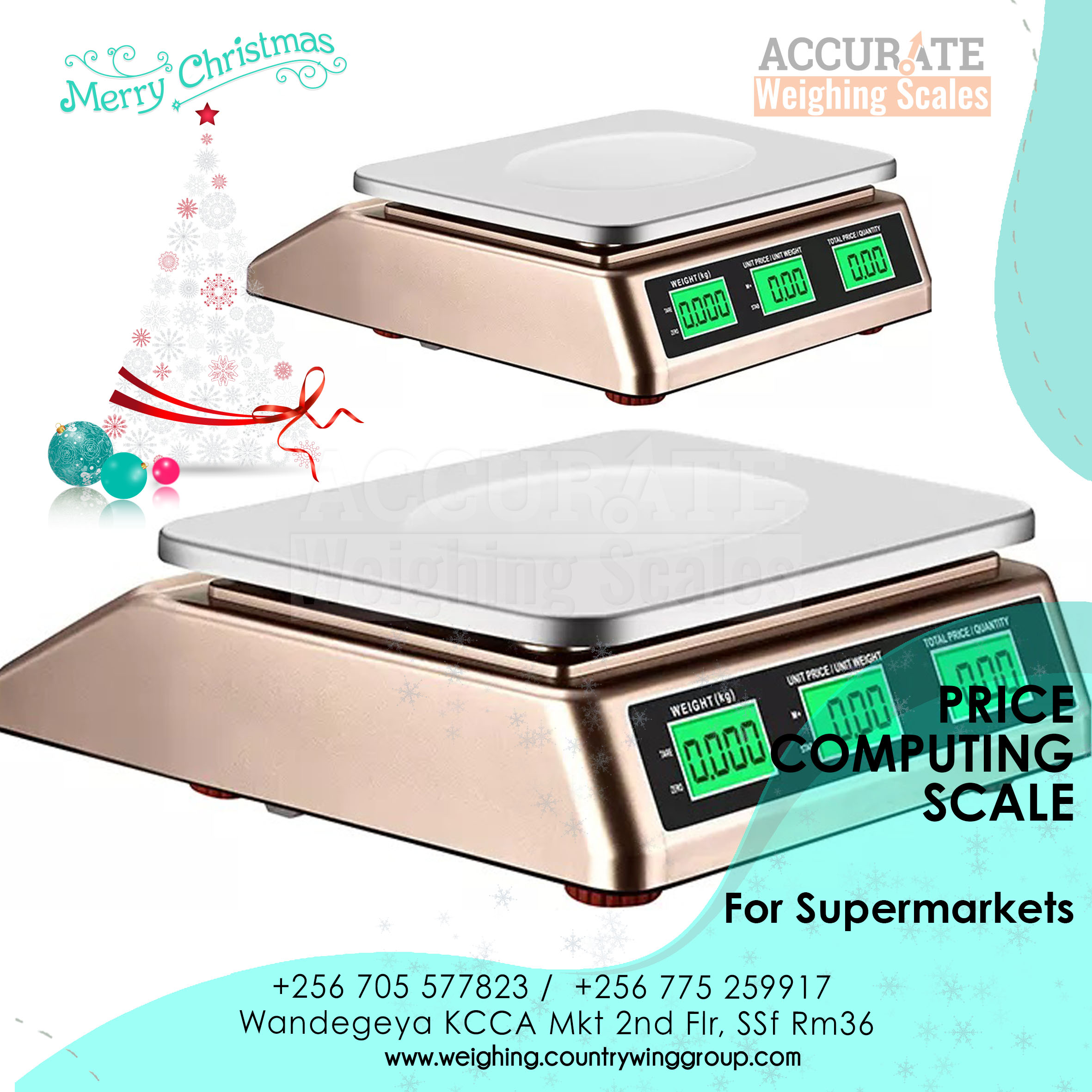 Price Computing Weighing Scale 