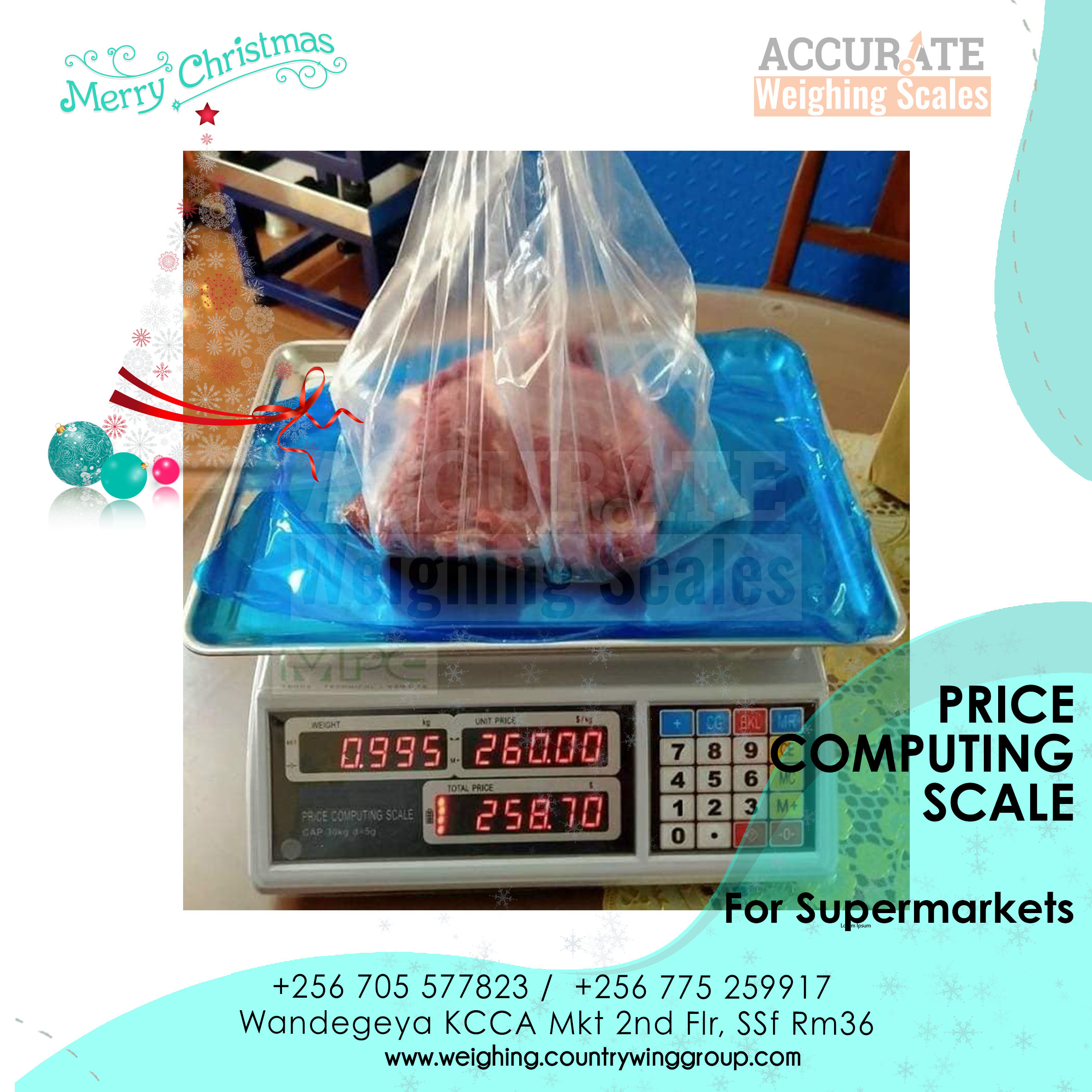 price computing weighing scale