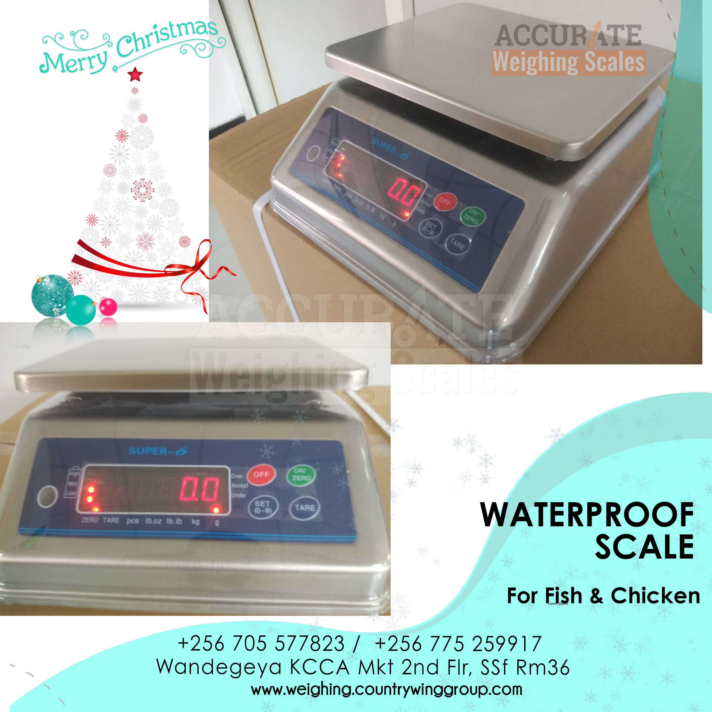 Waterproof Scale 