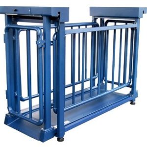 Alleyway livestock scale with a standard width of 600mm-1000mmin Kampala