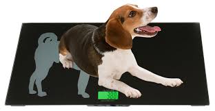 Digital Veterinary Weighing Scale – Dogs & Cats