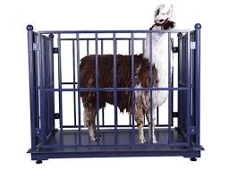 Electronic Waterproof Digital Animal Weighing Scale – Pets