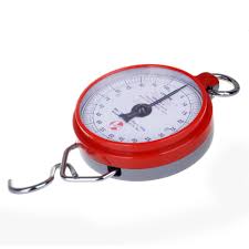 200 kg Dial Hanging Weighing Scale