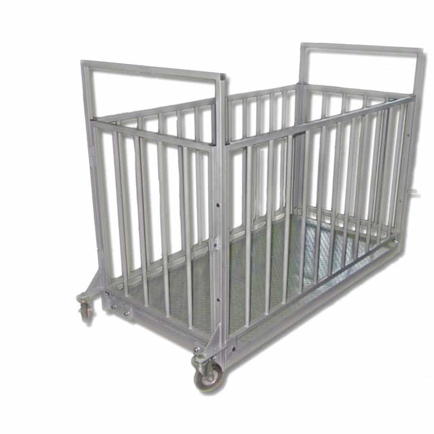 Livestock scales with two aluminum castors for input and output door in Gulu