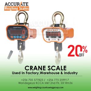 Crane Hanging Hook Weighing Scale