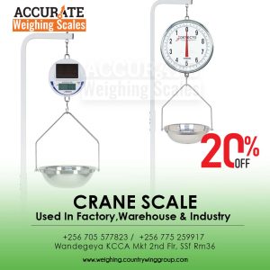 Crane Hanging Hook Weighing Scale