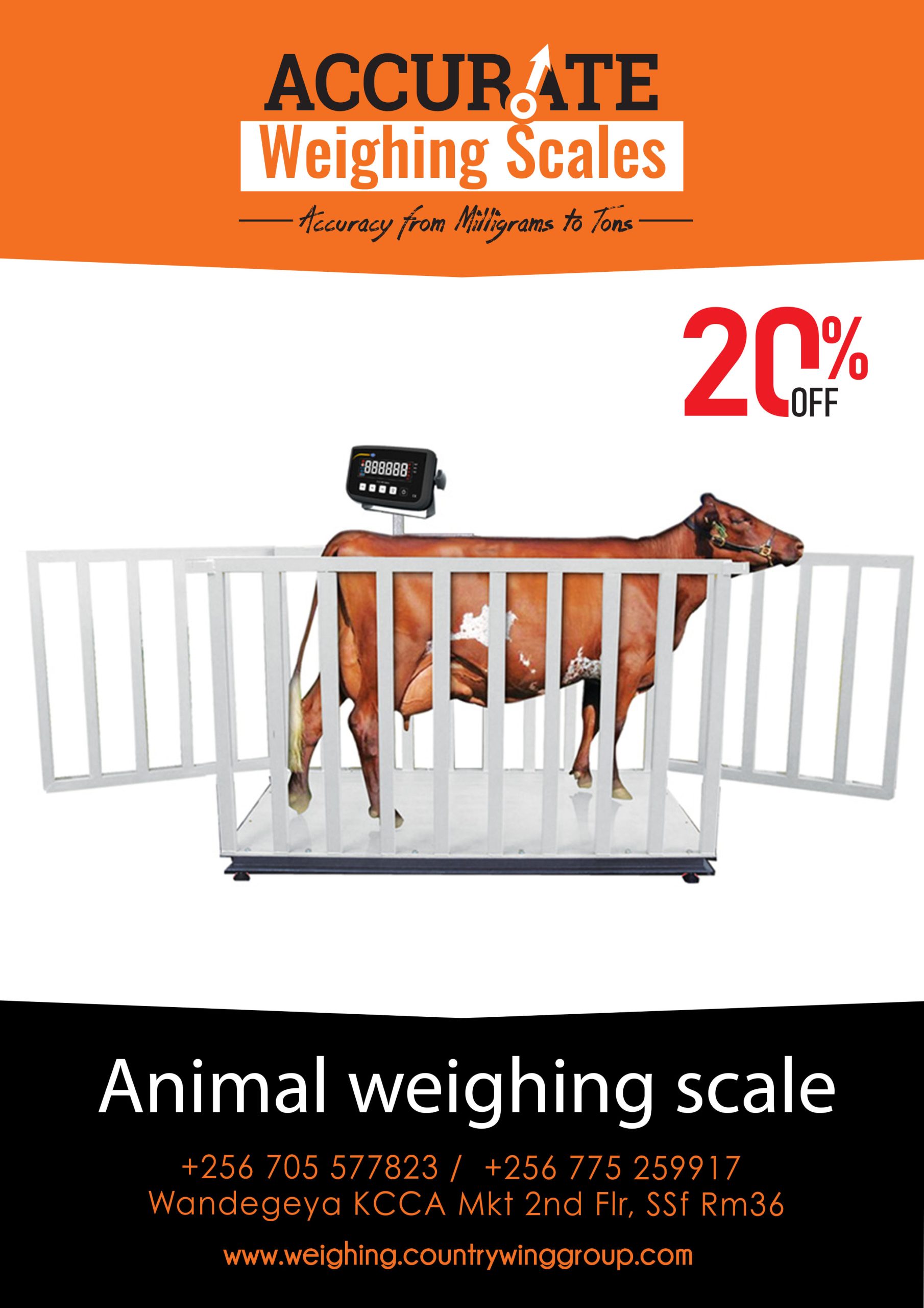 Animal Weighing Scale